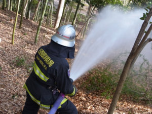 斜面竹林への放水