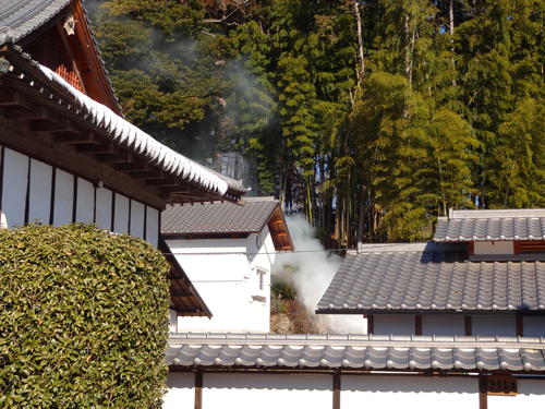 写真3