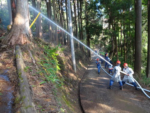 写真4