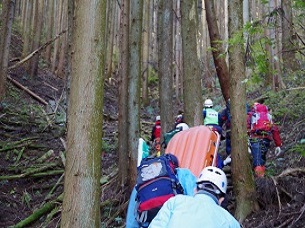 山の中を捜索している写真