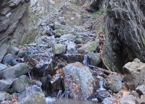 白谷沢登山道凍結