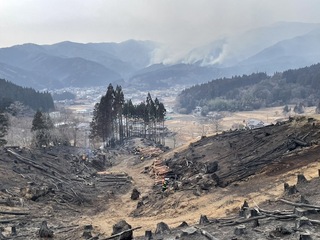 消火後の全景写真