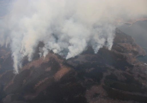 政府広報オンライン　山火事を防ぐためにできること。乾燥・強風の季節は特に注意！