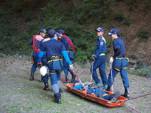 平成28年度 飯能日高消防署消防第1課 第1担当 山岳救助連携訓練 埼玉西部消防組合